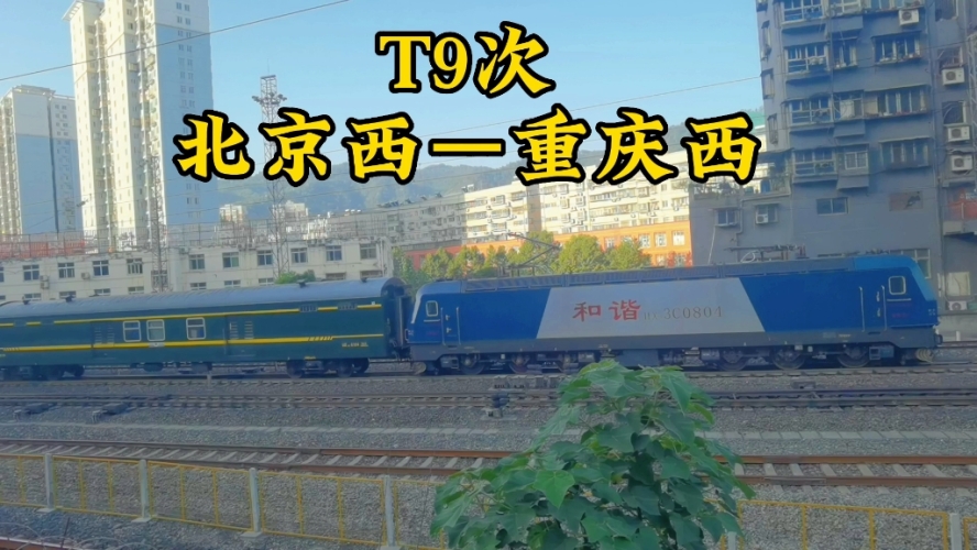国产精品91在线，探索中国数字内容产业的崛起与未来ysl千人千色t9t9t9t9t9mba