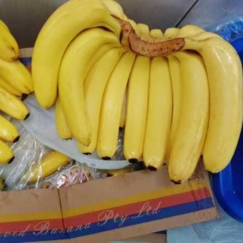 香蕉在线精品一区二区香蕉在线精品一区二区，探索高品质香蕉的独特魅力