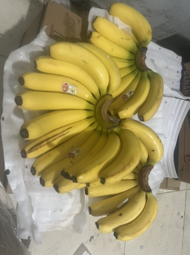 精品国产品香蕉在线观看75，品质与口感的完美结合国产蕉谈md