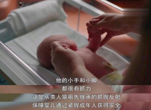 久久精品一区，探索高品质生活的秘密今天高清视频在线观看