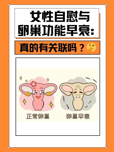 探讨女性自慰与性健康，免费在线资源与科学指导