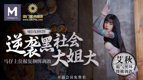 中文字幕久久无码高清中文字幕久久无码高清，影视作品中的字幕技术与高清画质的完美结合