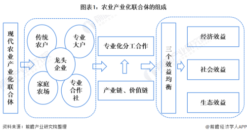 国产成人亚洲综合娱乐产业现状与未来发展分析