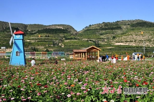 青青香蕉精品播放青青香蕉精品播放，探索香蕉产业的绿色发展与创新之路