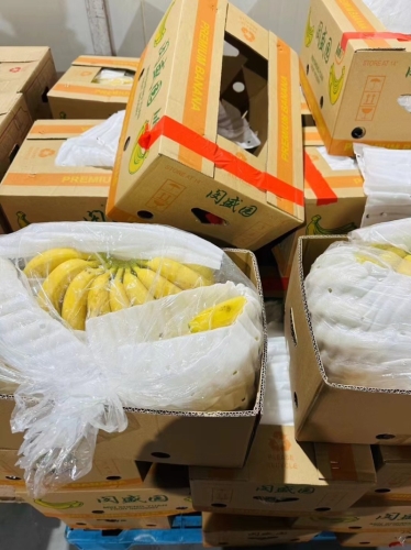 香蕉本道—久久精品引领行业新风向991 香蕉