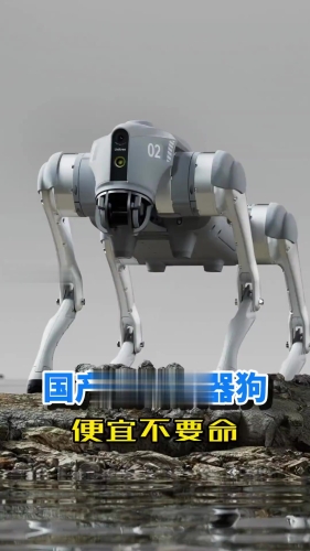 国产AV无码片毛片，揭秘背后的神秘世界无码国产外流程