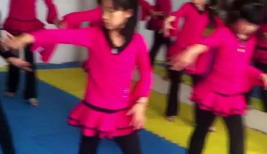 任我爽在线精品视频免费观看，探索网络视频的无限魅力任我爽在线精品视频免费观看网址下载安装