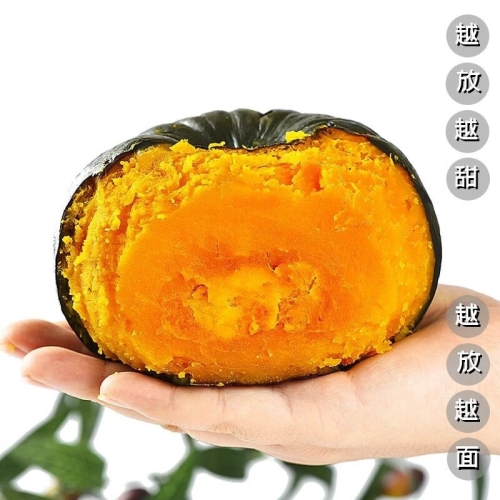 国产精品无码99国产精品无码99，品质生活新选择