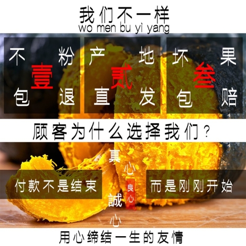 国产精品无码99国产精品无码99，品质生活新选择