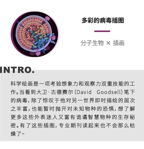 国产中文成人新闻，网络世界的秘密花园—揭秘内容丰富多样的内容平台国产中文成人精品久久