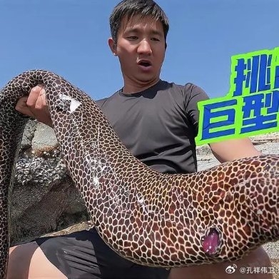 探索在线播放无码中文的新趋势在线播放无码中文1
