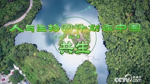 人与禽交在线网站，探索生物多样性新视角人与畜禽