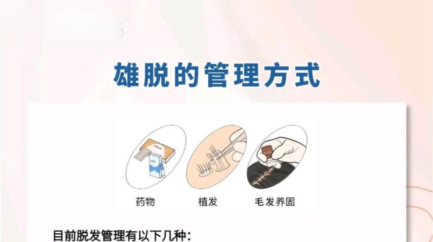 成人AⅤDVD，网络热议下的文化现象