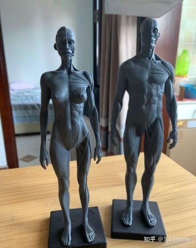 国产精品新闻，久久精品国产99久久六动漫盛放登场3dmax动漫高清资源免费观看