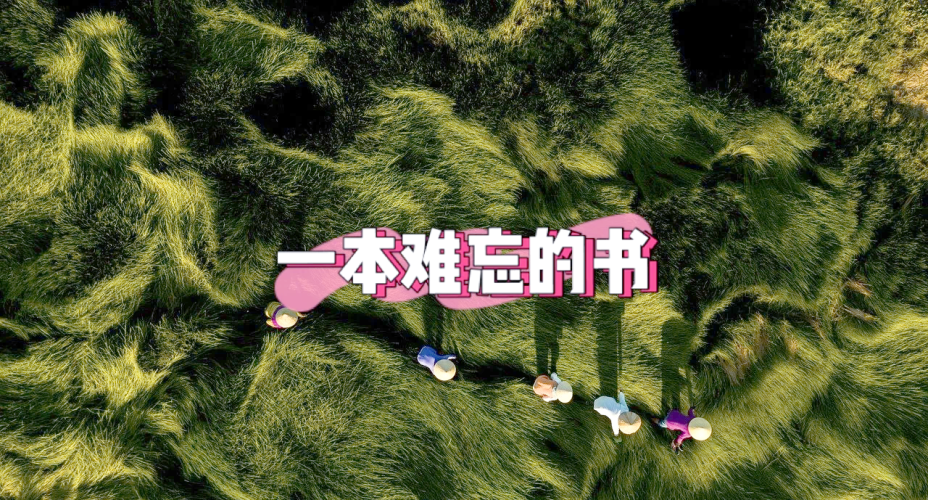 一本无码中文字幕手机在线解锁手机世界，无码中文字幕手机在线的探索