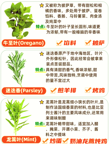 久久青草大香—植物与健康的新篇章久久香草地
