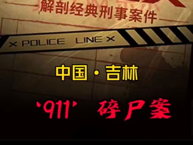 911国产观看专区国产911专区，揭开神秘面纱，展现真实世界