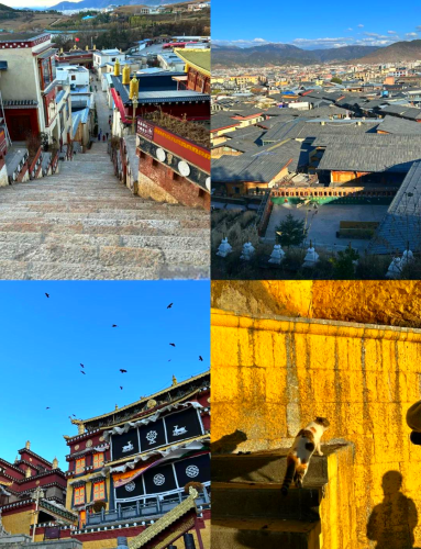 亚洲天堂在线，探索神秘天堂之旅