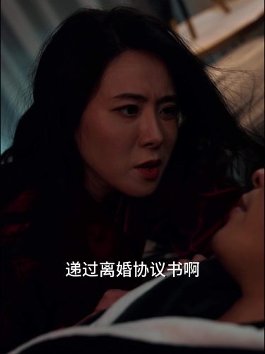 少妇精品区，探索三区神秘魅力4399在线观看免费高清电视剧